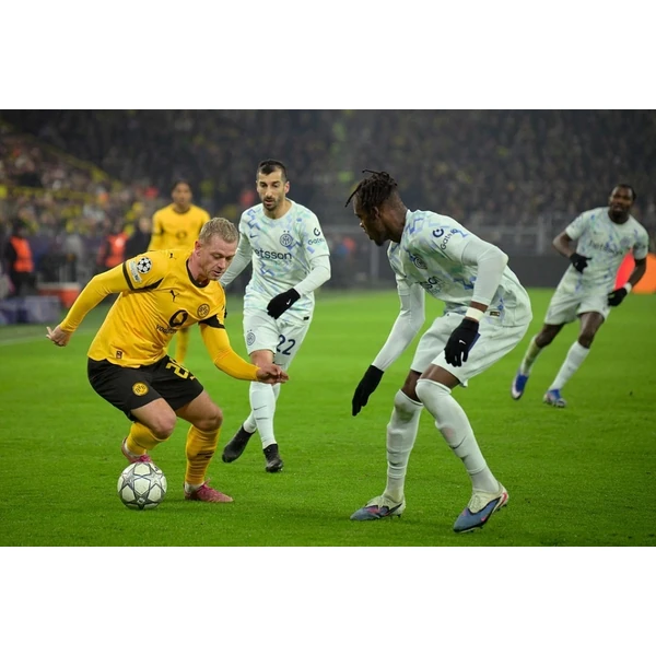 专业赛事服务, 为你而来